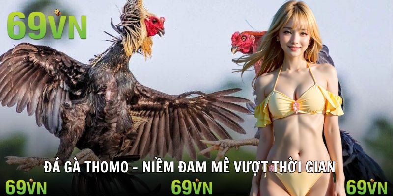 cu da ga thomo dinh cao Cú đá kết liễu đỉnh cao tại sới Thomo