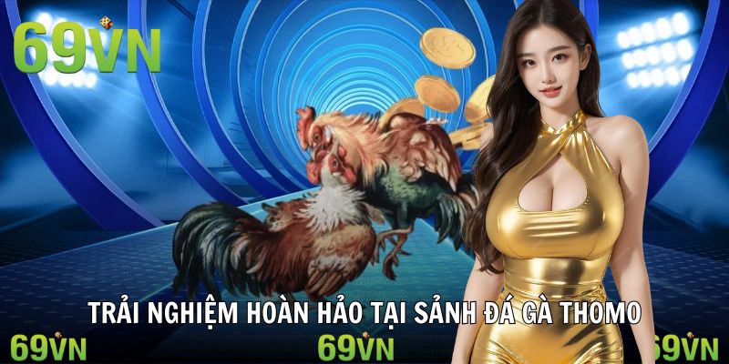trai nghiem da ga thomo 69vn Trải nghiệm hoàn hảo chơi cược gà thomo